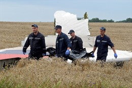 TT Putin: Cần điều tra quốc tế độc lập và khách quan vụ MH17
